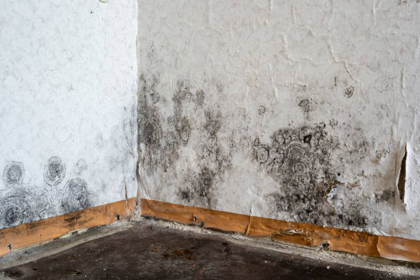 Slayton, MN Water damage restoration Company